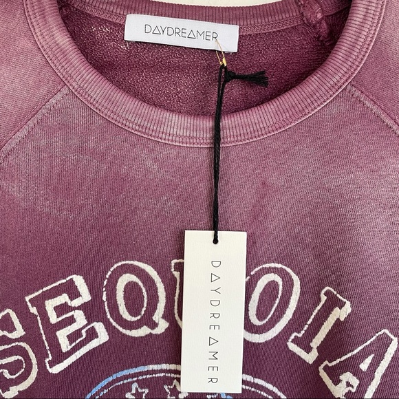 Daydreamer Sequoia Oversized Varsity Sweatshirt - Picture 4 of 6